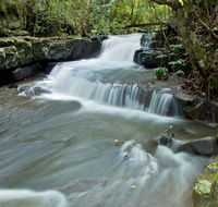 Jerusalem Creek trail - New South Wales Tourism 