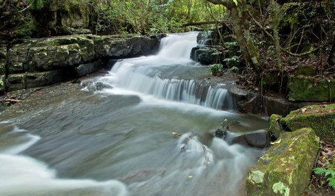Jerusalem Creek Trail - New South Wales Tourism  0