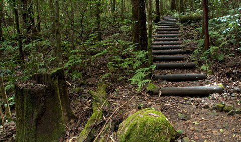 Jerusalem Creek Trail - New South Wales Tourism  2