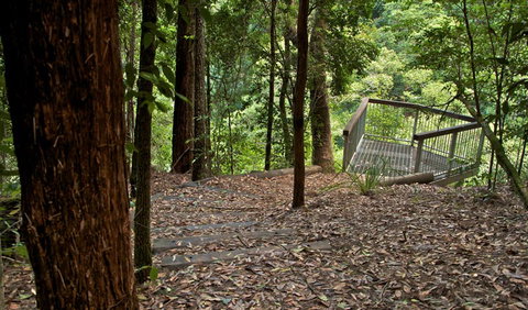 Jerusalem Creek Trail - New South Wales Tourism  3