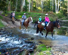 Glenworth Valley Horse Riding - New South Wales Tourism  1
