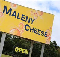 Maleny Cheese - New South Wales Tourism 
