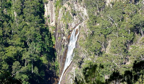 Carrai National Park - New South Wales Tourism  0