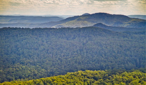Murray Scrub Lookout - New South Wales Tourism  1