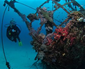 Severance Shipwreck Dive Site - New South Wales Tourism  0