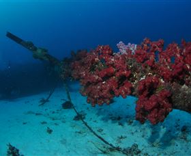 Severance Shipwreck Dive Site - New South Wales Tourism  2