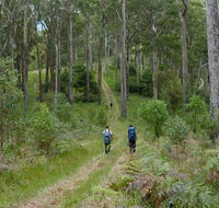 The Green Gully track - New South Wales Tourism 