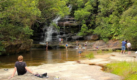 Somersby Falls Picnic Area - New South Wales Tourism  0