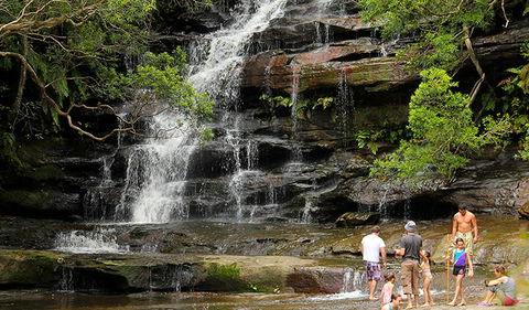 Somersby Falls Picnic Area - New South Wales Tourism  2