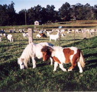 Trudgalong Farm - New South Wales Tourism 