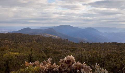 Mount Budawang Trail - New South Wales Tourism  2