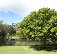 Hervey Bay Botanic Gardens - New South Wales Tourism 