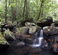 Kangaroo River - New South Wales Tourism 