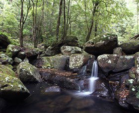 Kangaroo River - New South Wales Tourism  0