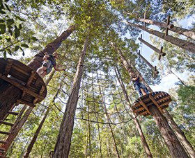 TreeTop Adventure Park Central Coast - New South Wales Tourism  0