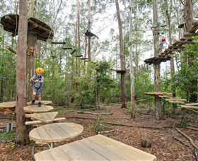 TreeTop Adventure Park Central Coast - New South Wales Tourism  1
