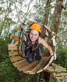 TreeTop Adventure Park Central Coast - New South Wales Tourism  3