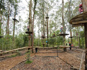 TreeTop Adventure Park Central Coast - New South Wales Tourism  5