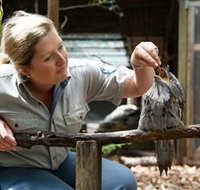 Walkabout Creek - New South Wales Tourism 