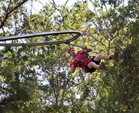 TreeTops Crazy Rider - New South Wales Tourism  1