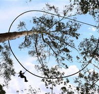 TreeTops Crazy Rider - New South Wales Tourism 