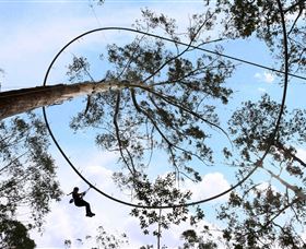 TreeTops Crazy Rider - New South Wales Tourism  0