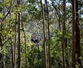 TreeTops Crazy Rider - New South Wales Tourism  3