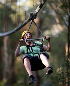 TreeTops Crazy Rider - New South Wales Tourism  2