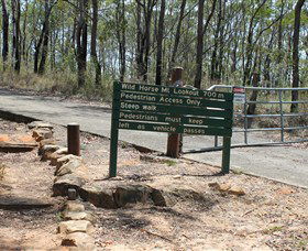 Wild Horse Mountain Lookout - New South Wales Tourism  0