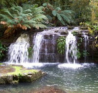 Barrington Tops National Park Walks - New South Wales Tourism 