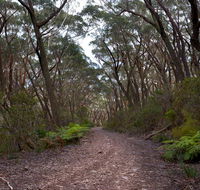 Budawang National Park - New South Wales Tourism 
