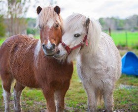 Amazement Farm And Fun Park / Cafe And Farmstay Accommodation - New South Wales Tourism  5
