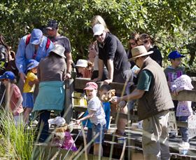 St Ives Precinct - New South Wales Tourism  1