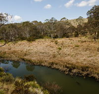 Werrikimbe National Park - New South Wales Tourism 