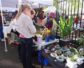 Glebe Markets - New South Wales Tourism  3