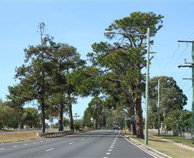 Anzac Memorial Avenue, Redcliffe - New South Wales Tourism  2