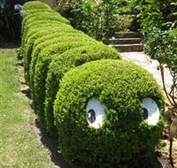 Nutcote - May Gibbs' Home - House Museum - New South Wales Tourism 