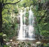 Budderoo National Park - The Falls Walk - New South Wales Tourism 