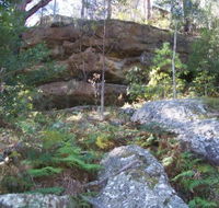 Bens Walk - New South Wales Tourism 