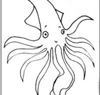 Squid Studio - New South Wales Tourism 