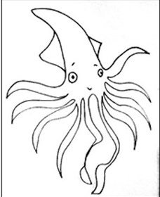 Squid Studio - New South Wales Tourism  0