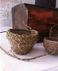 Squid Studio - New South Wales Tourism  1