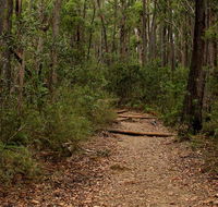 Pigeon House Mountain Didthul walking track - New South Wales Tourism 