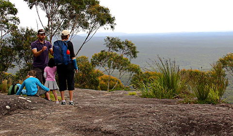Pigeon House Mountain Didthul Walking Track - New South Wales Tourism  2