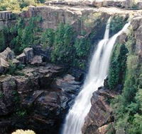 Minnamurra Rainforest Centre Budderoo National Park - New South Wales Tourism 