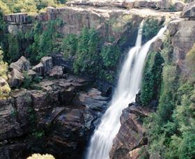 Minnamurra Rainforest Centre: Budderoo National Park - New South Wales Tourism  0
