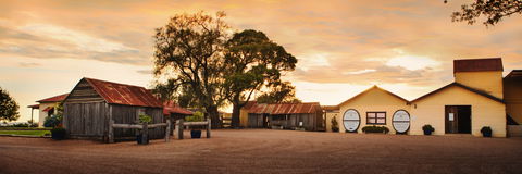 Tyrrells Vineyards - New South Wales Tourism  2
