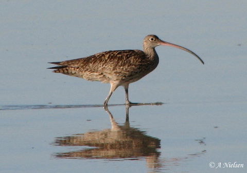 Cooloola Nature - New South Wales Tourism  3
