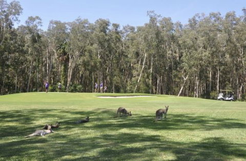 Emerald Downs Golf Course - New South Wales Tourism  4