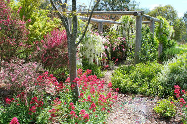 Ivy Hill Gallery - New South Wales Tourism  6